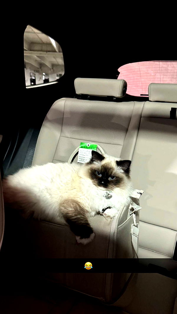 breckiehill image ~ Altpins