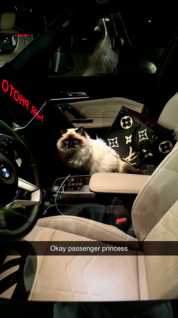 breckiehill image ~ Altpins