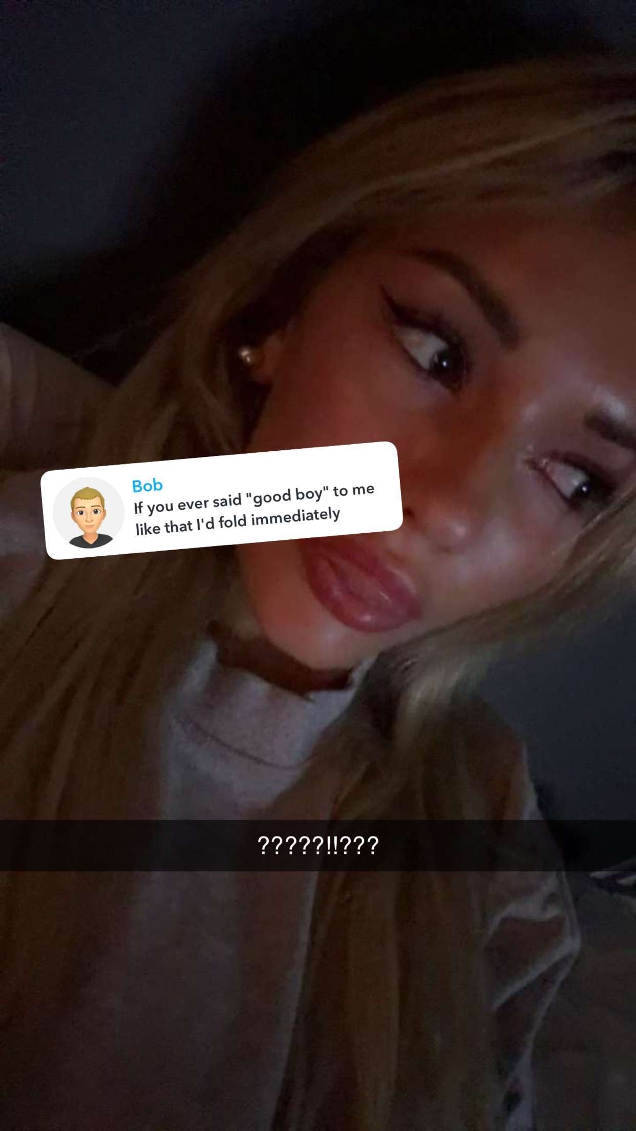 breckiehill snapchat image archive image