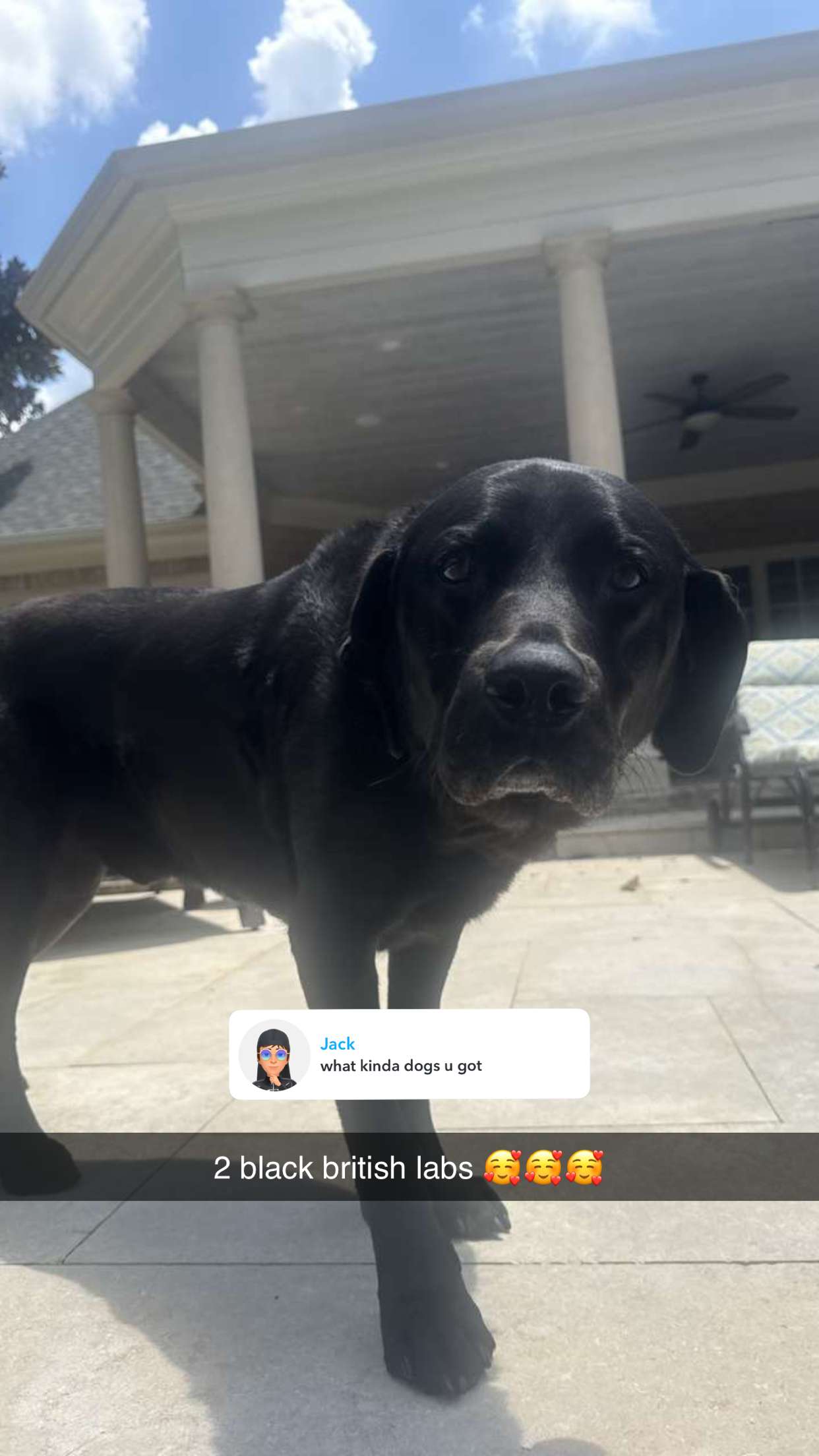 breckiehill snapchat image archive image