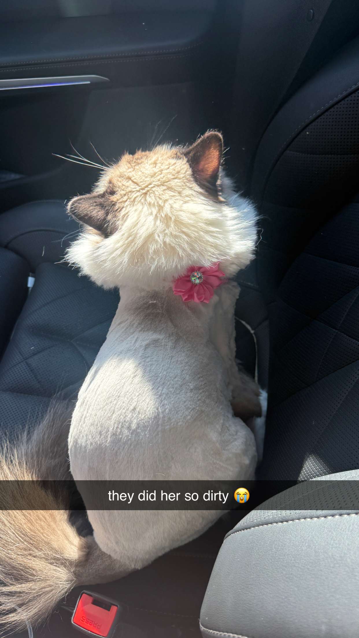 breckiehill snapchat image archive image