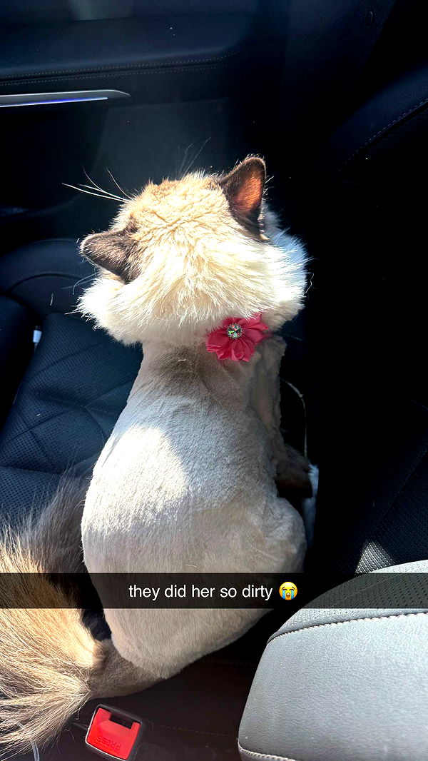 breckiehill image ~ Altpins