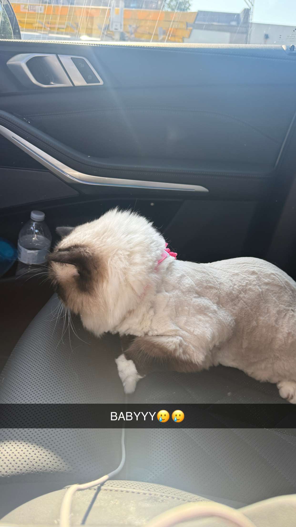 breckiehill snapchat image archive image