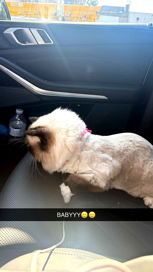 breckiehill image ~ Altpins