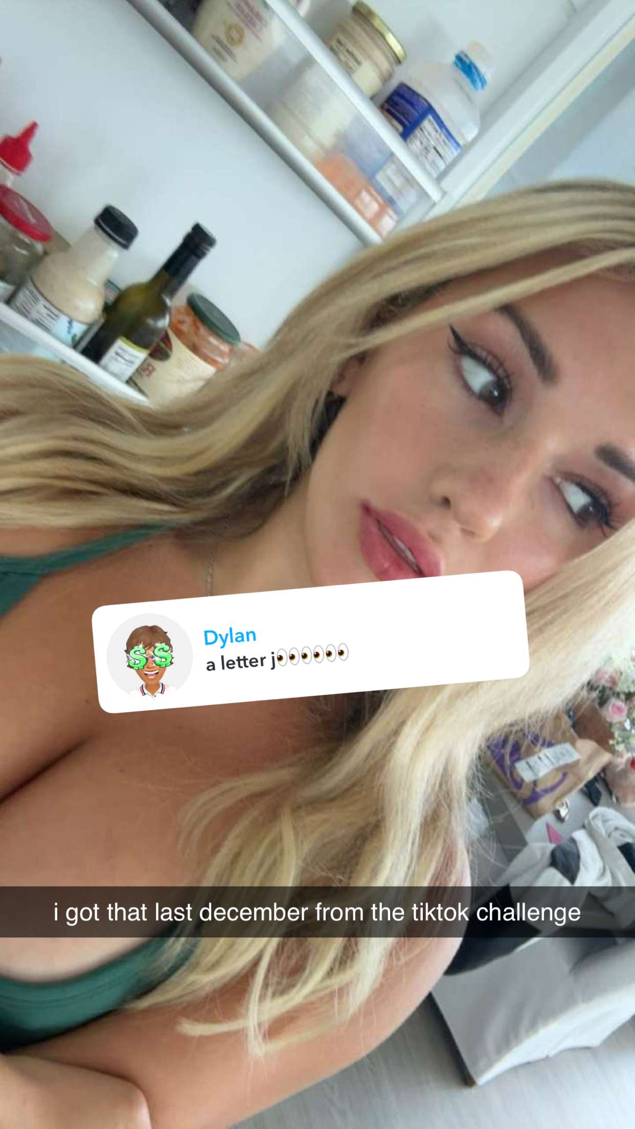 breckiehill snapchat image archive image