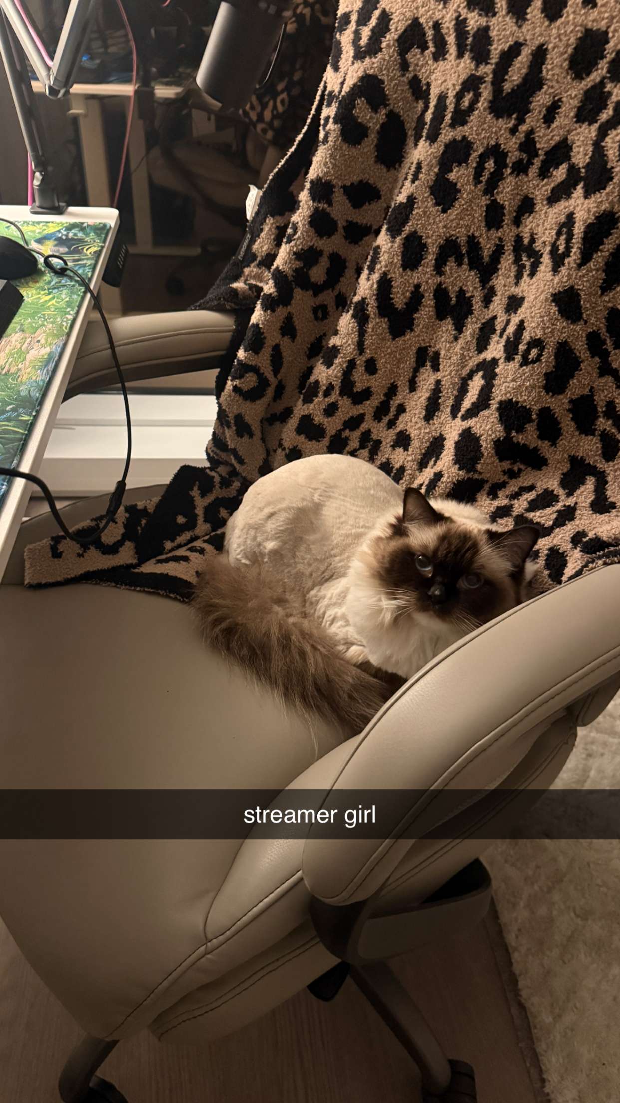 breckiehill snapchat image archive image