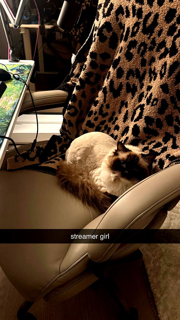 breckiehill image ~ Altpins