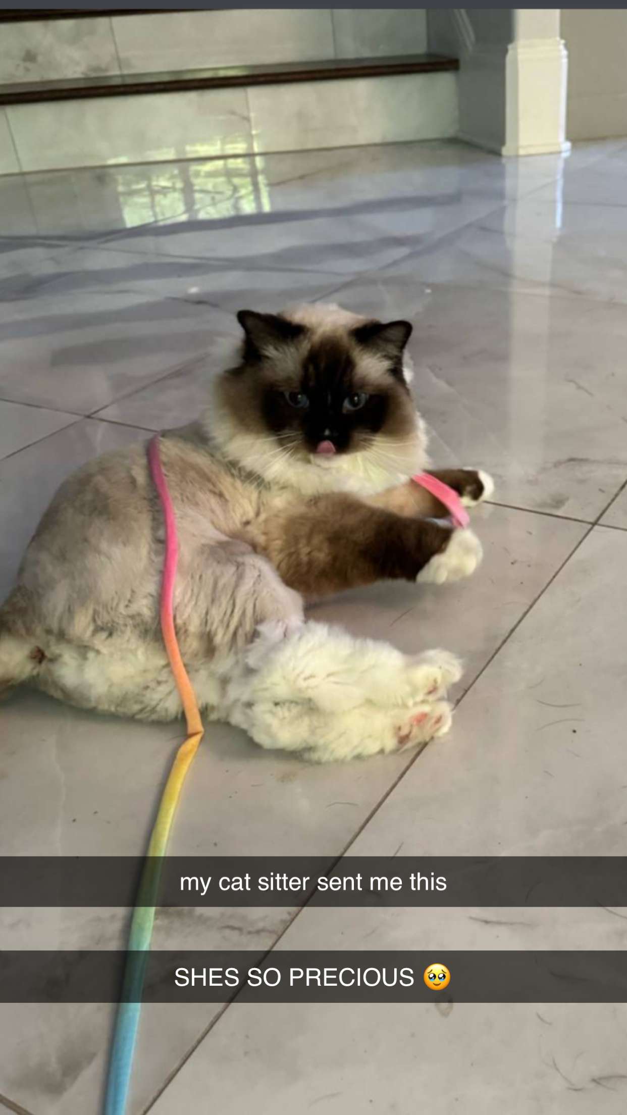 breckiehill snapchat image archive image