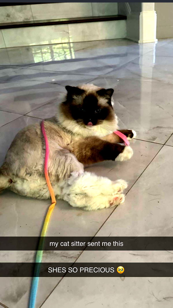 breckiehill image ~ Altpins