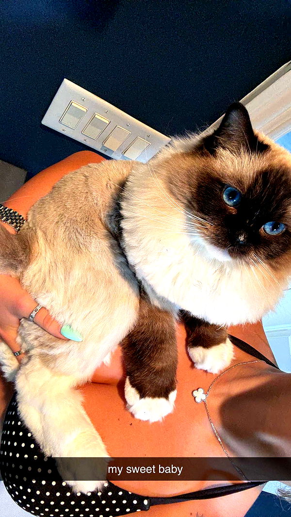 breckiehill image ~ Altpins