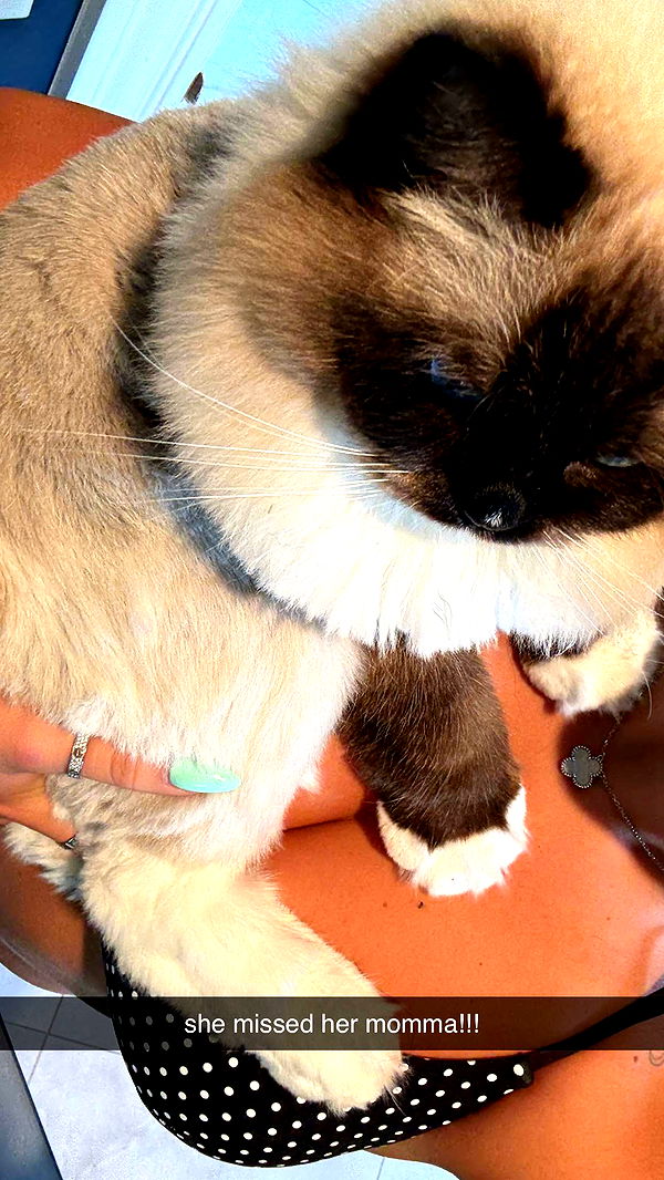 breckiehill image ~ Altpins