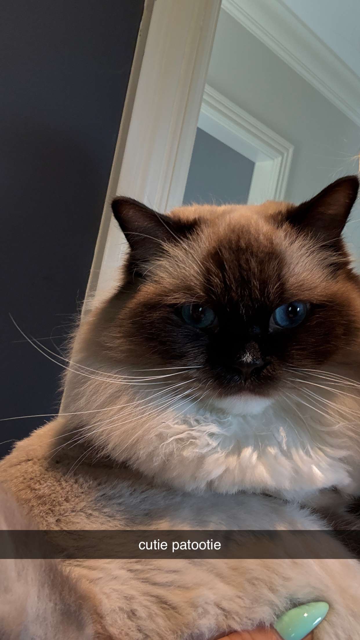 breckiehill snapchat image archive image