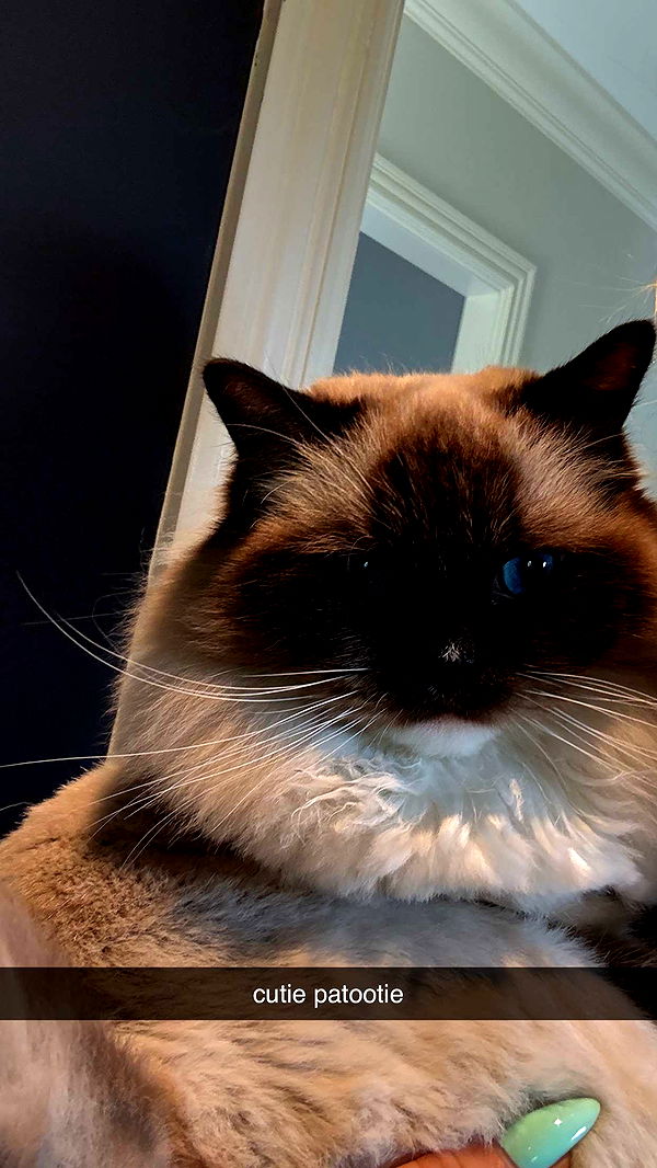 breckiehill image ~ Altpins