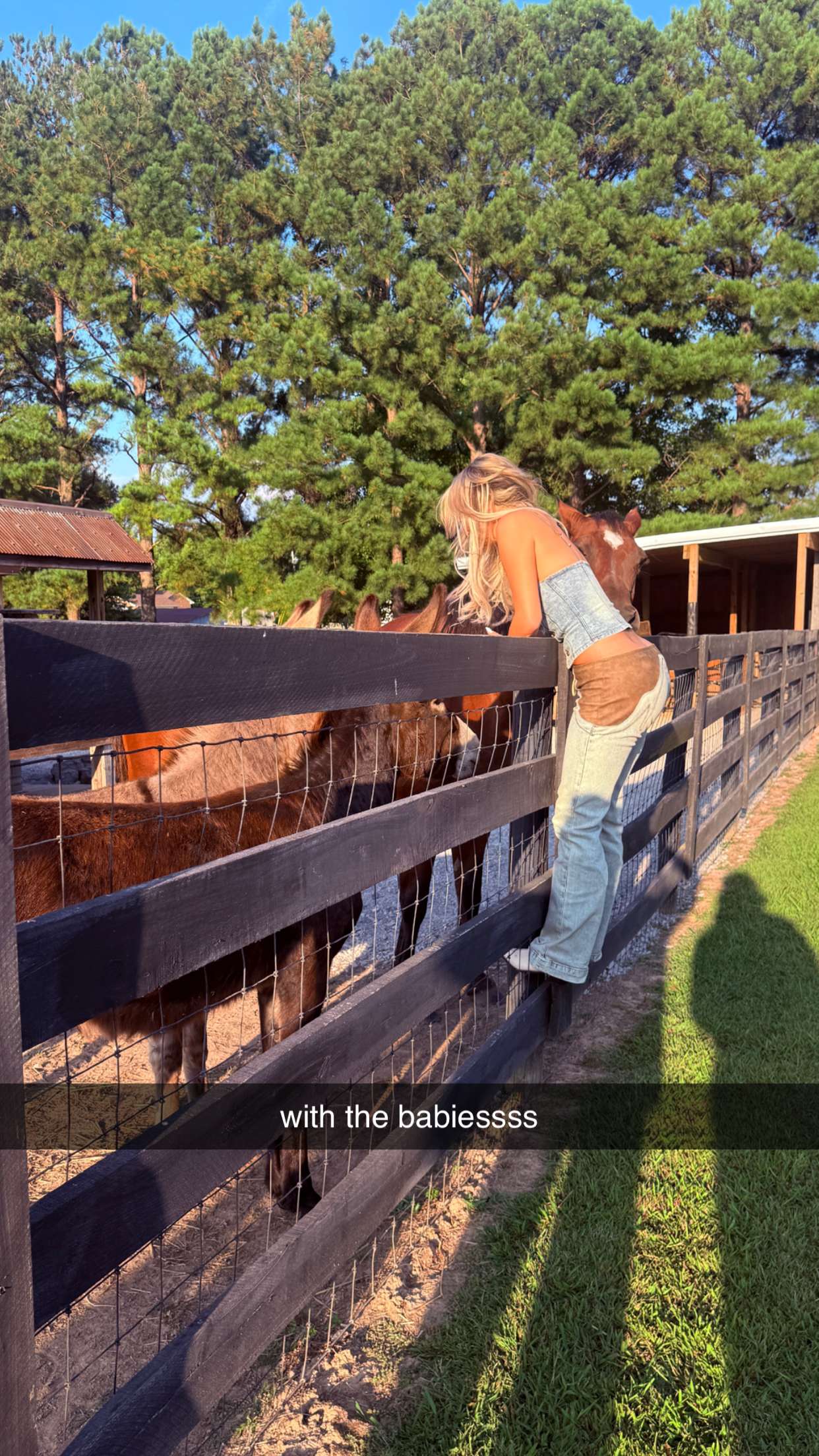 breckiehill snapchat image archive image