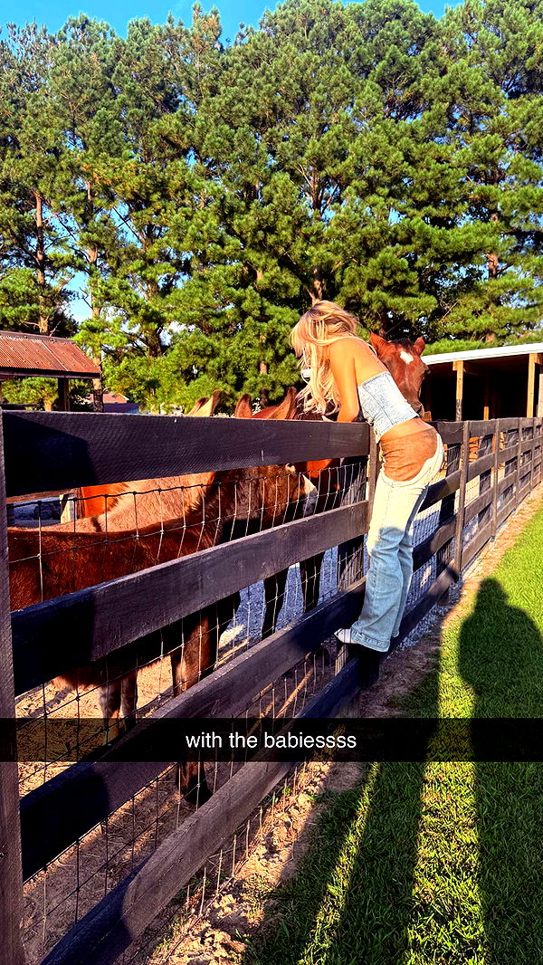 breckiehill image ~ Altpins