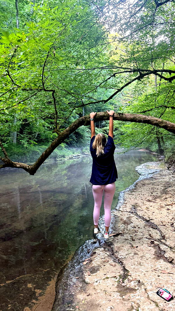 breckiehill image ~ Altpins