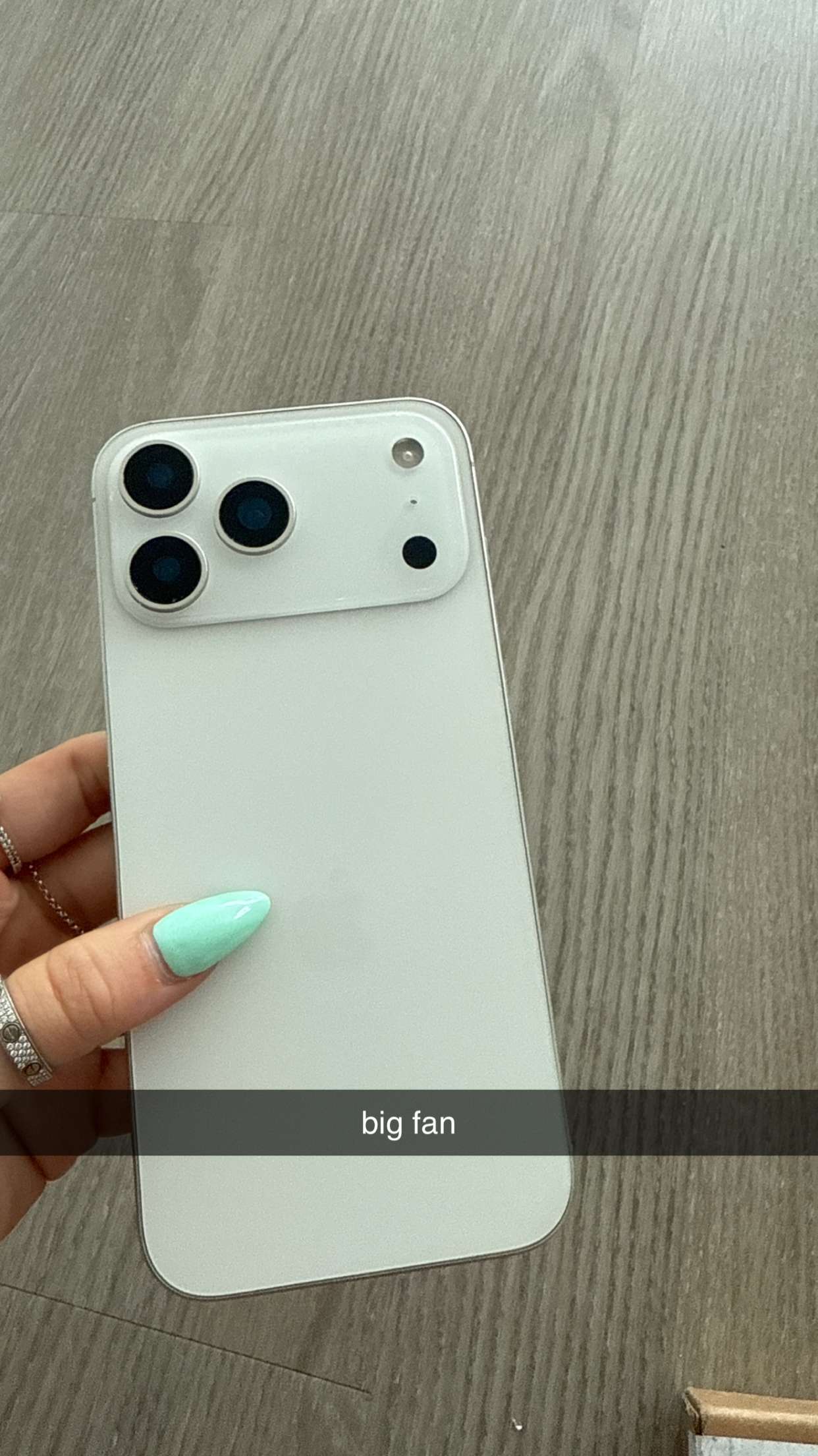 breckiehill snapchat image archive image