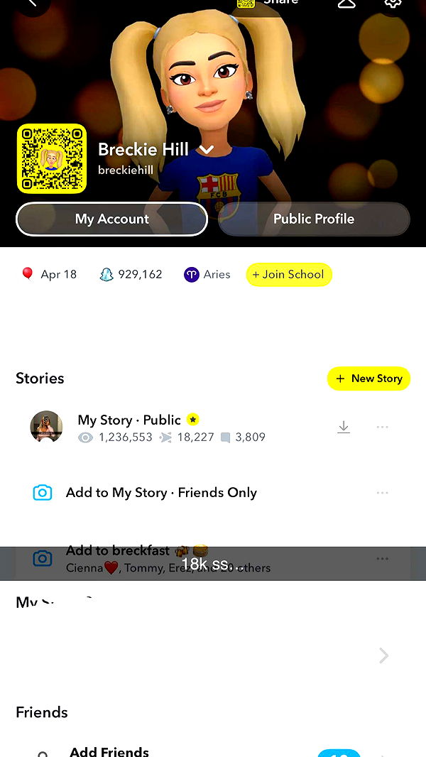 breckiehill image ~ Altpins