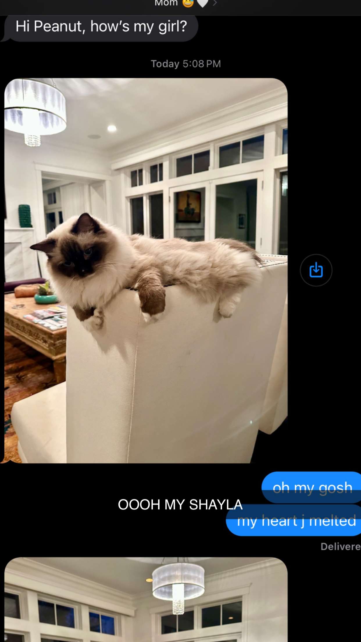 breckiehill snapchat image archive image