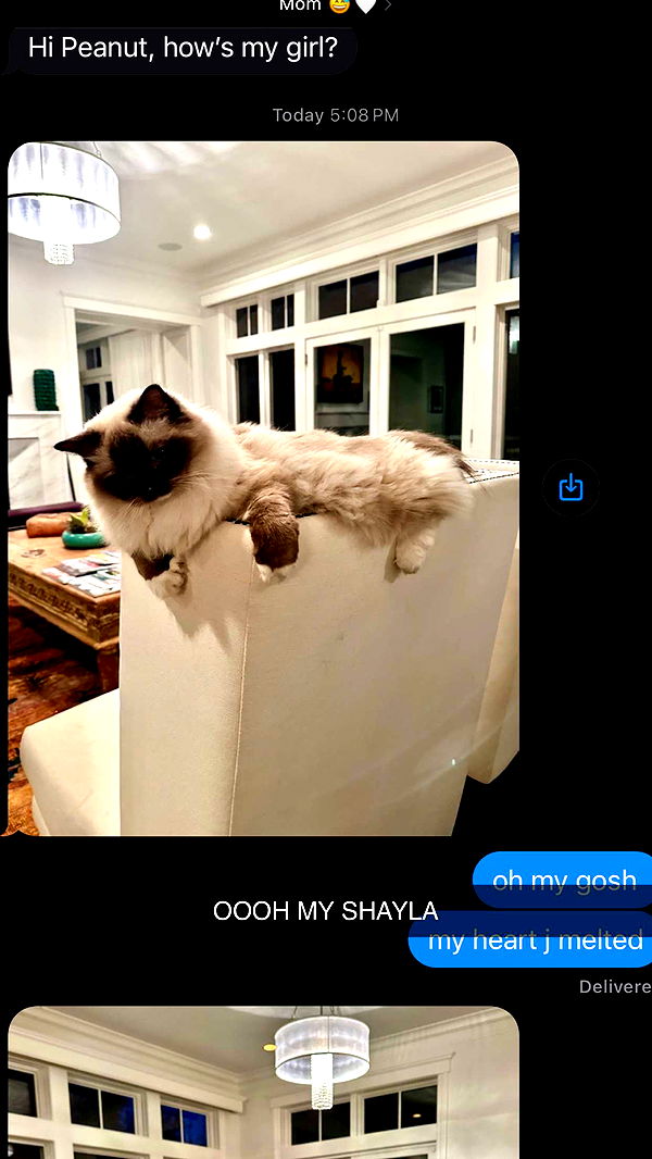 breckiehill image ~ Altpins