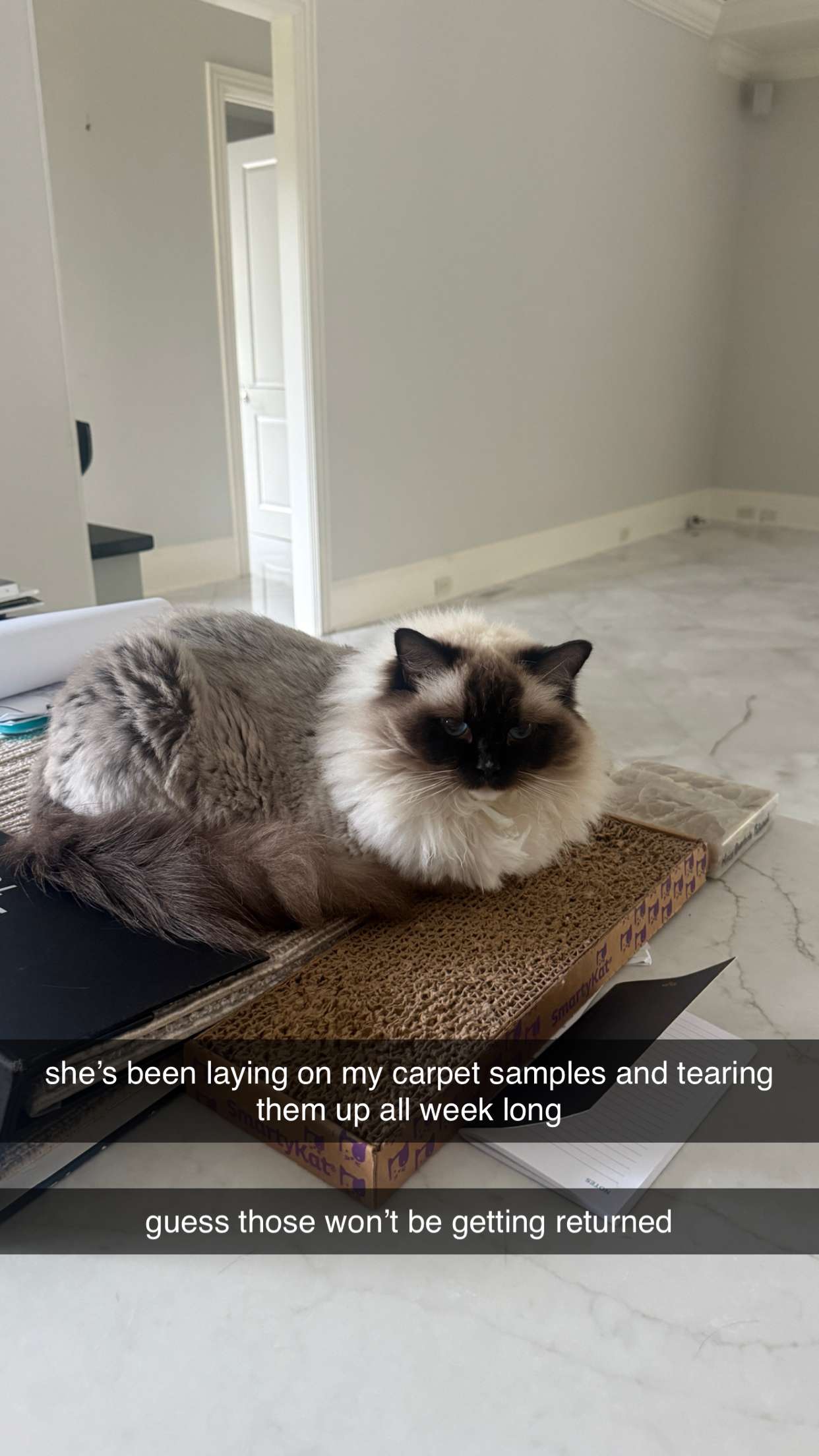 breckiehill snapchat image archive image