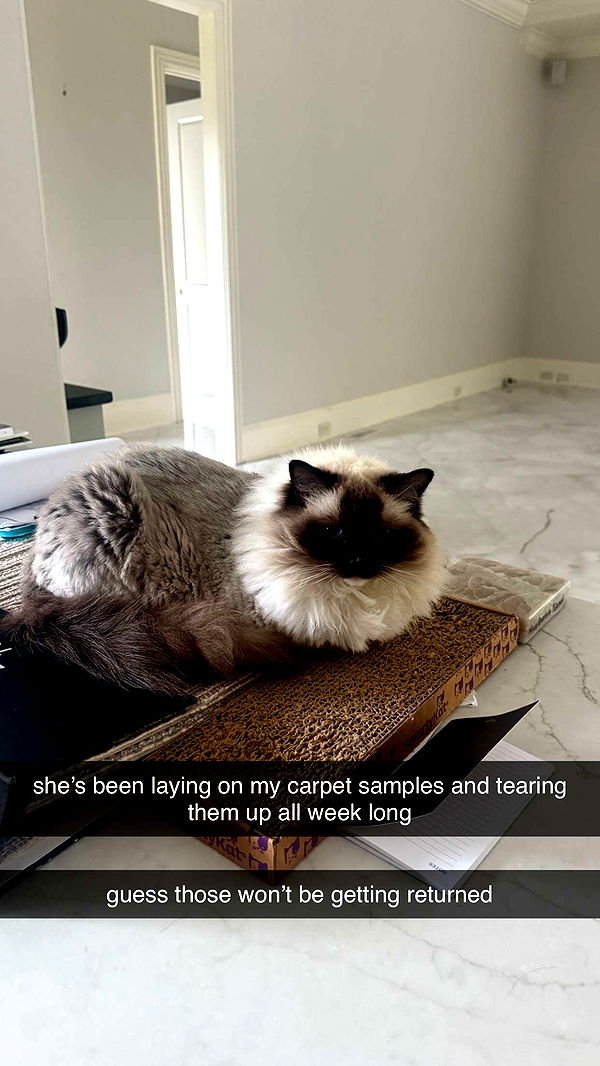 breckiehill image ~ Altpins