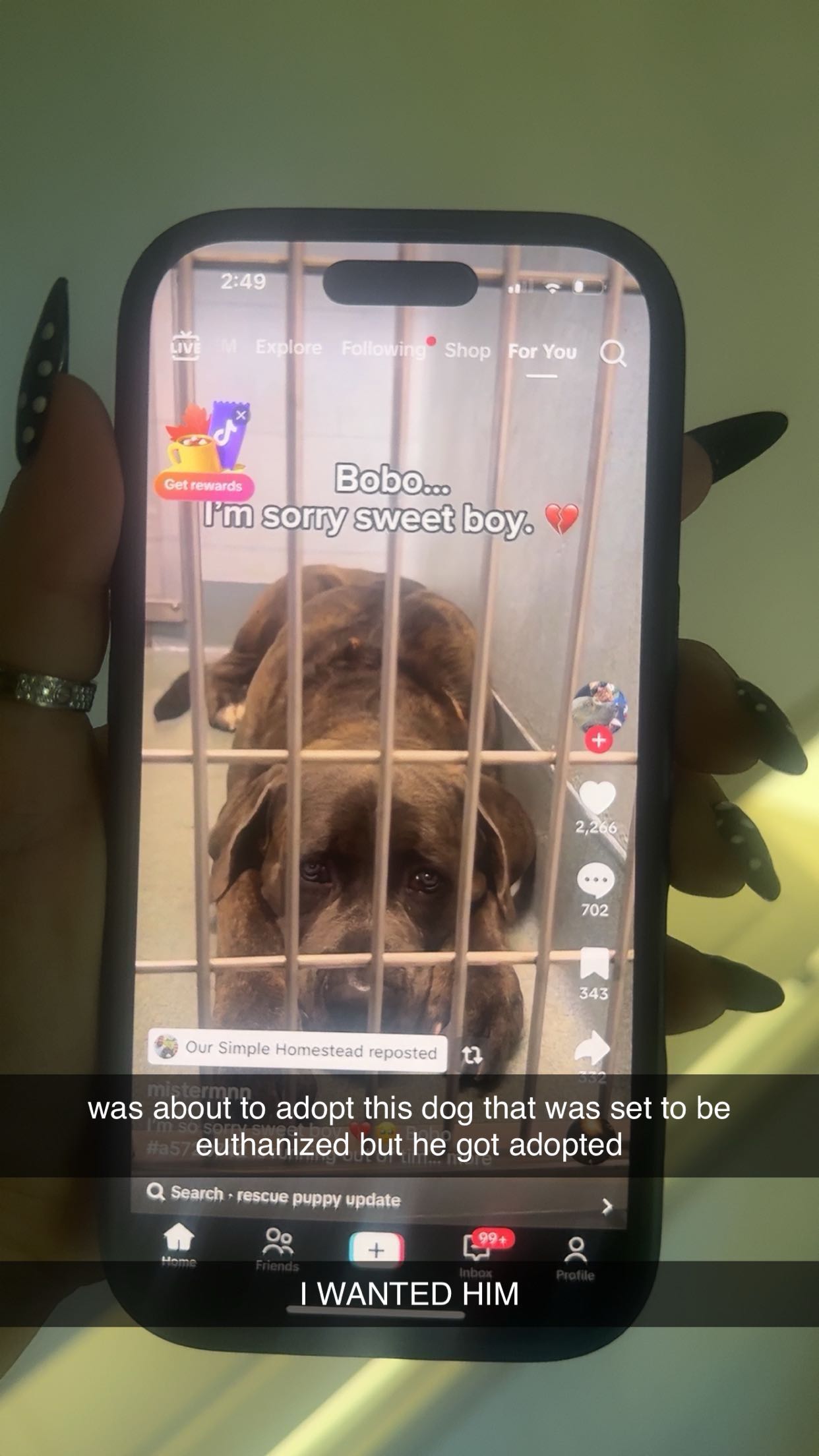 breckiehill snapchat image archive image