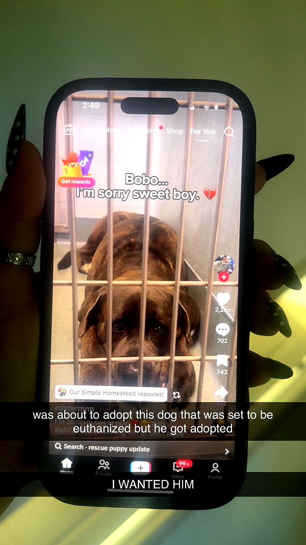 breckiehill image ~ Altpins