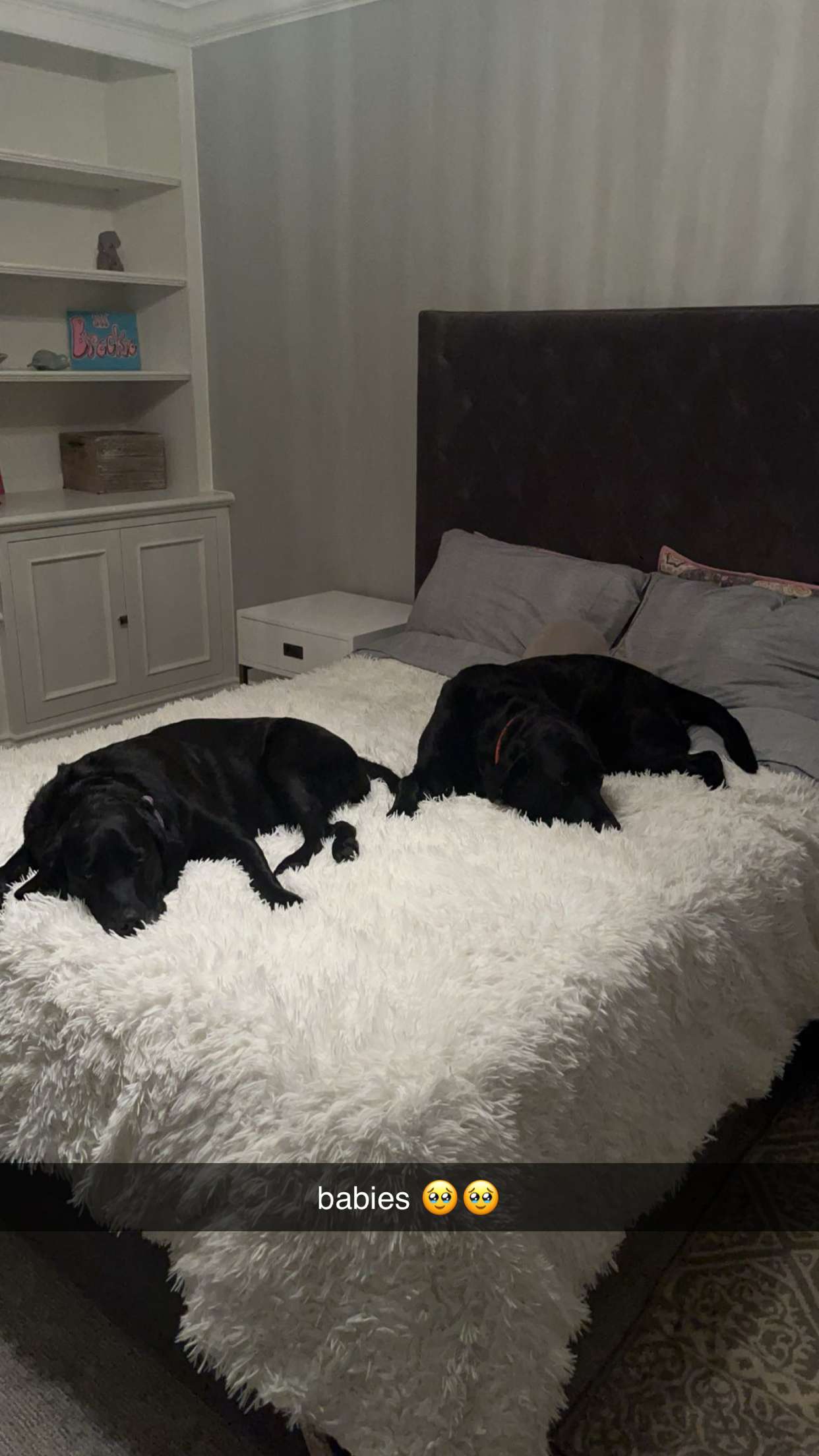 breckiehill snapchat image archive image