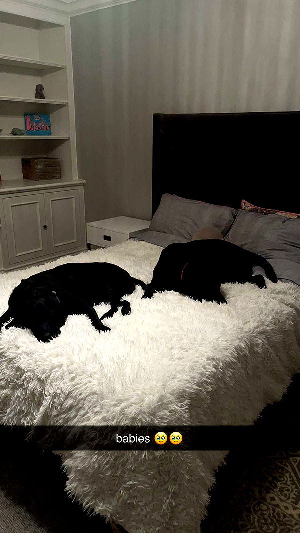 breckiehill image ~ Altpins