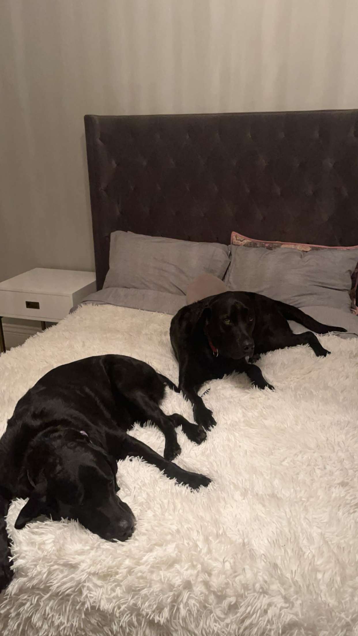 breckiehill snapchat image archive image