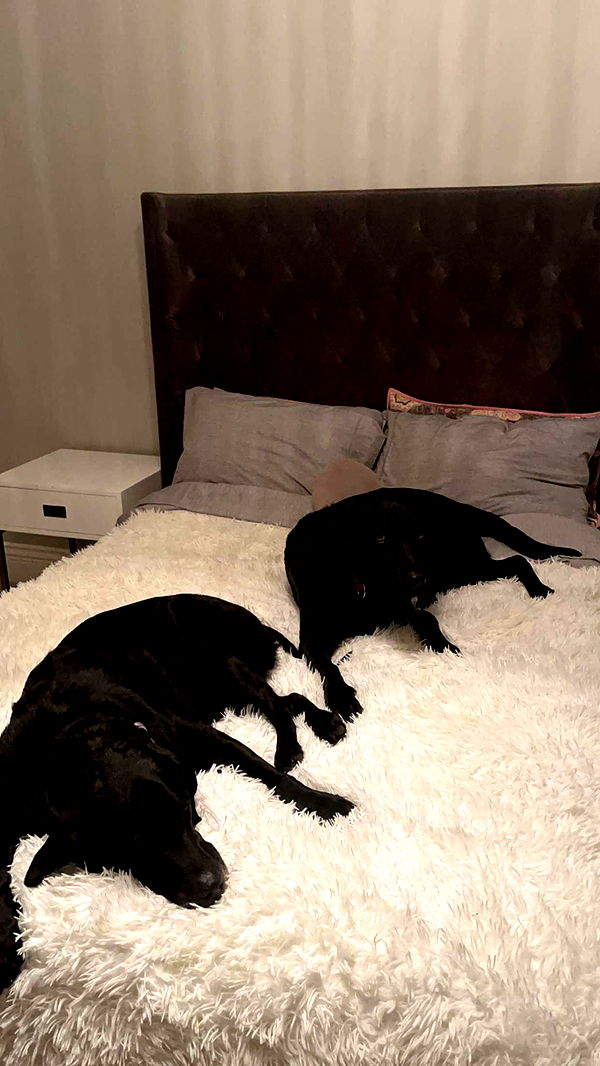 breckiehill image ~ Altpins