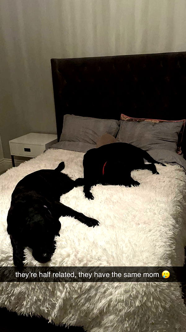 breckiehill image ~ Altpins