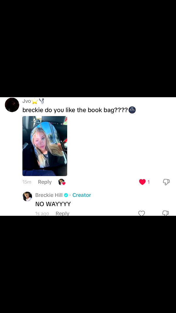 breckiehill image ~ Altpins