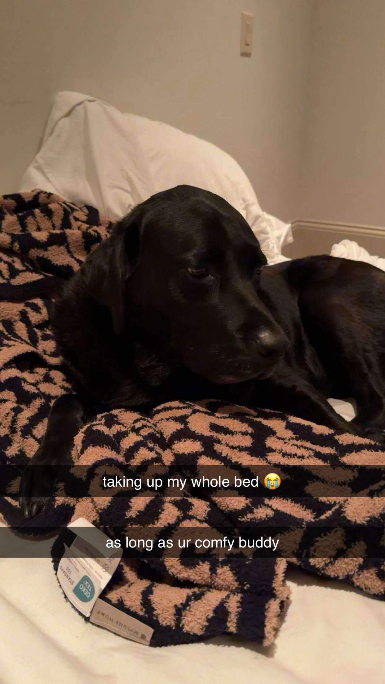 breckiehill snapchat image archive image