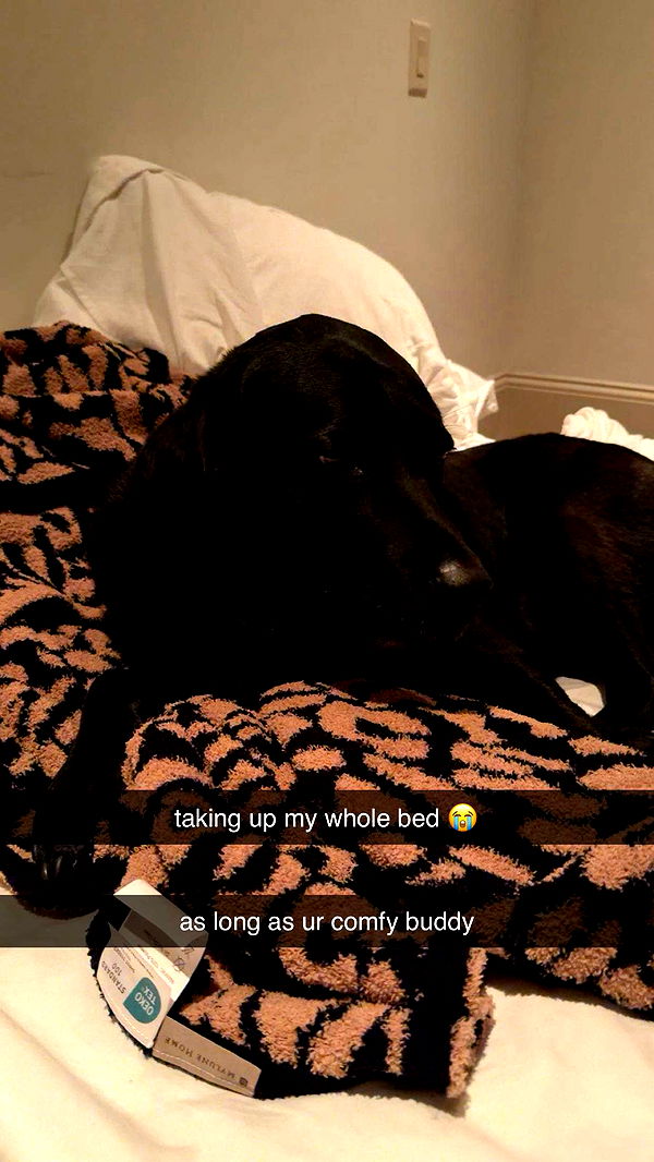 breckiehill image ~ Altpins