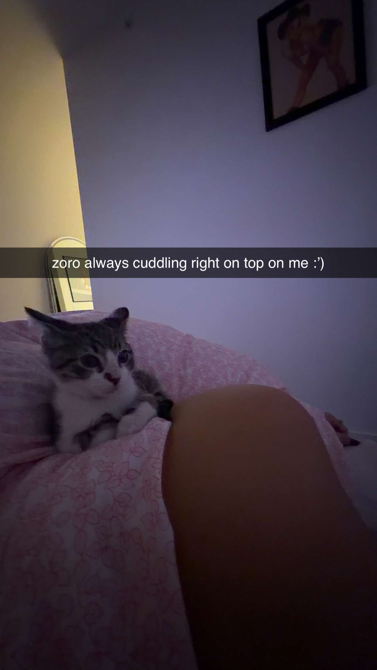 breckiehill snapchat image archive image