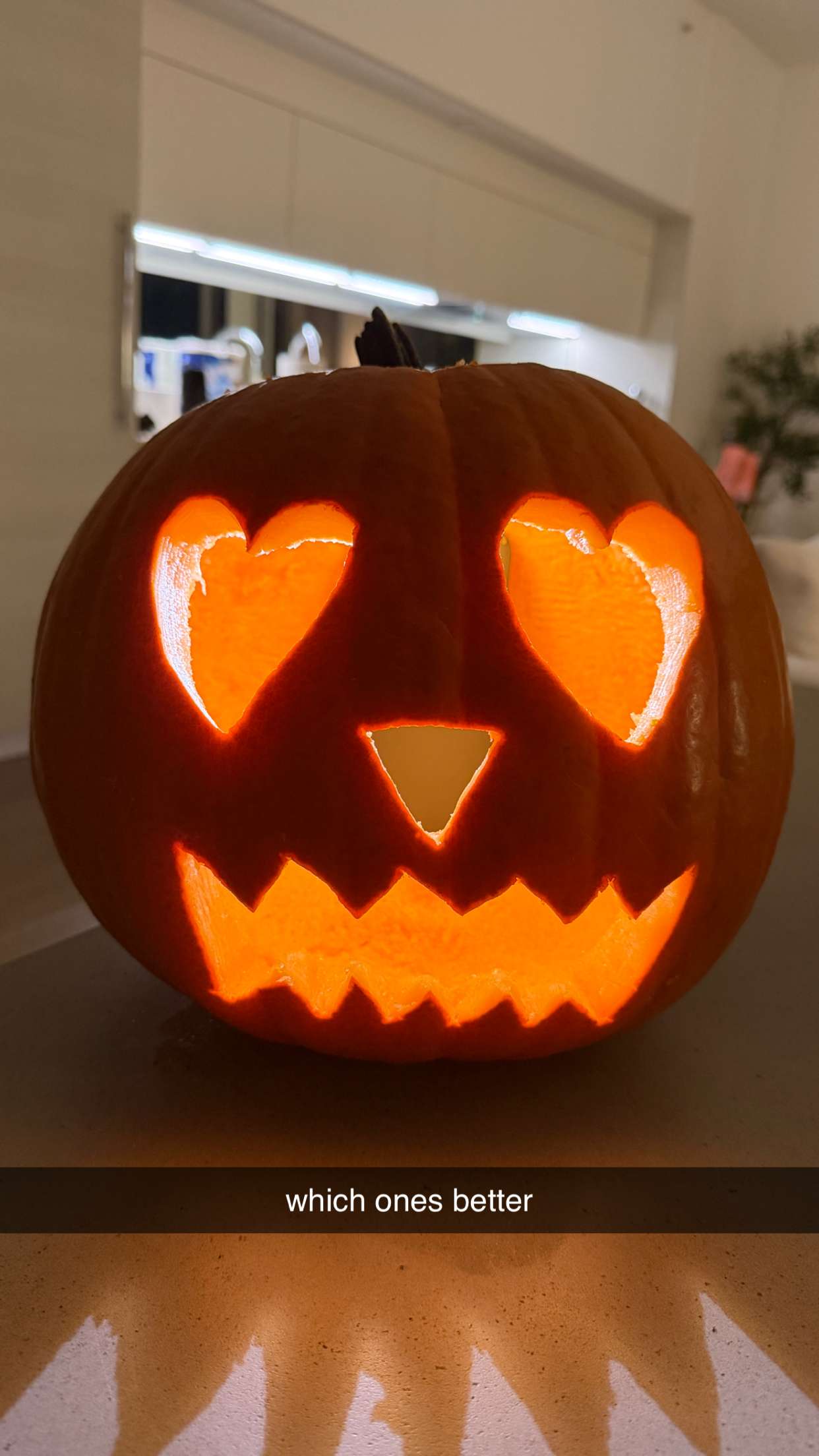 breckiehill snapchat image archive image