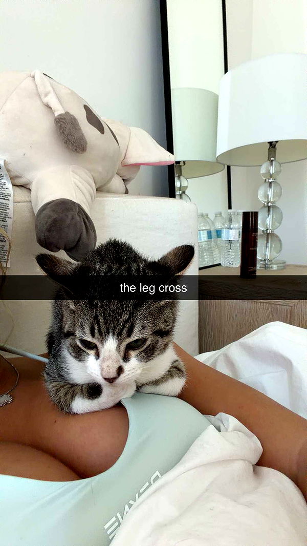 breckiehill image ~ Altpins