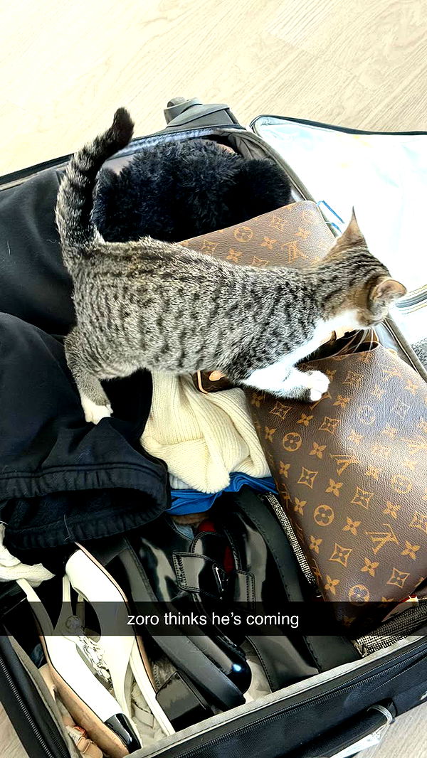 breckiehill image ~ Altpins