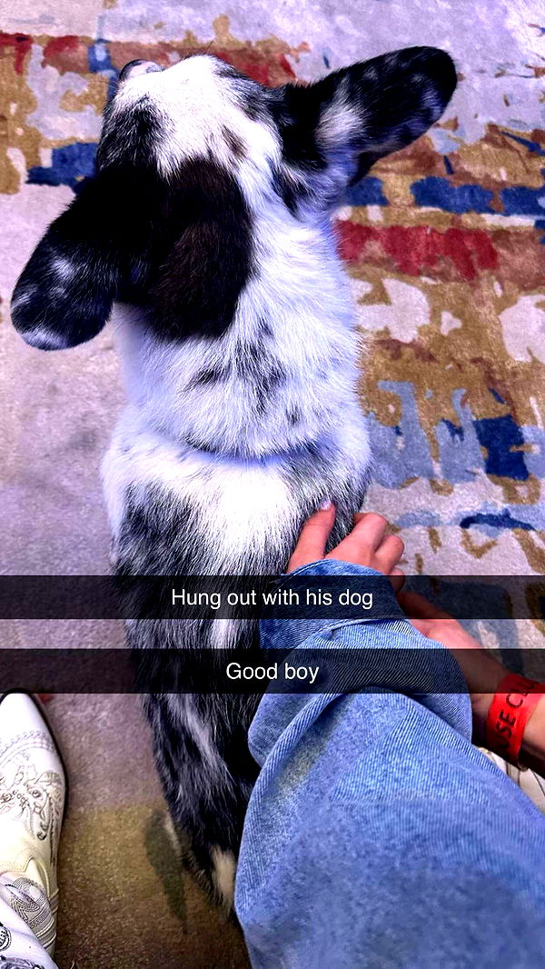 breesemaroc1 image ~ Altpins