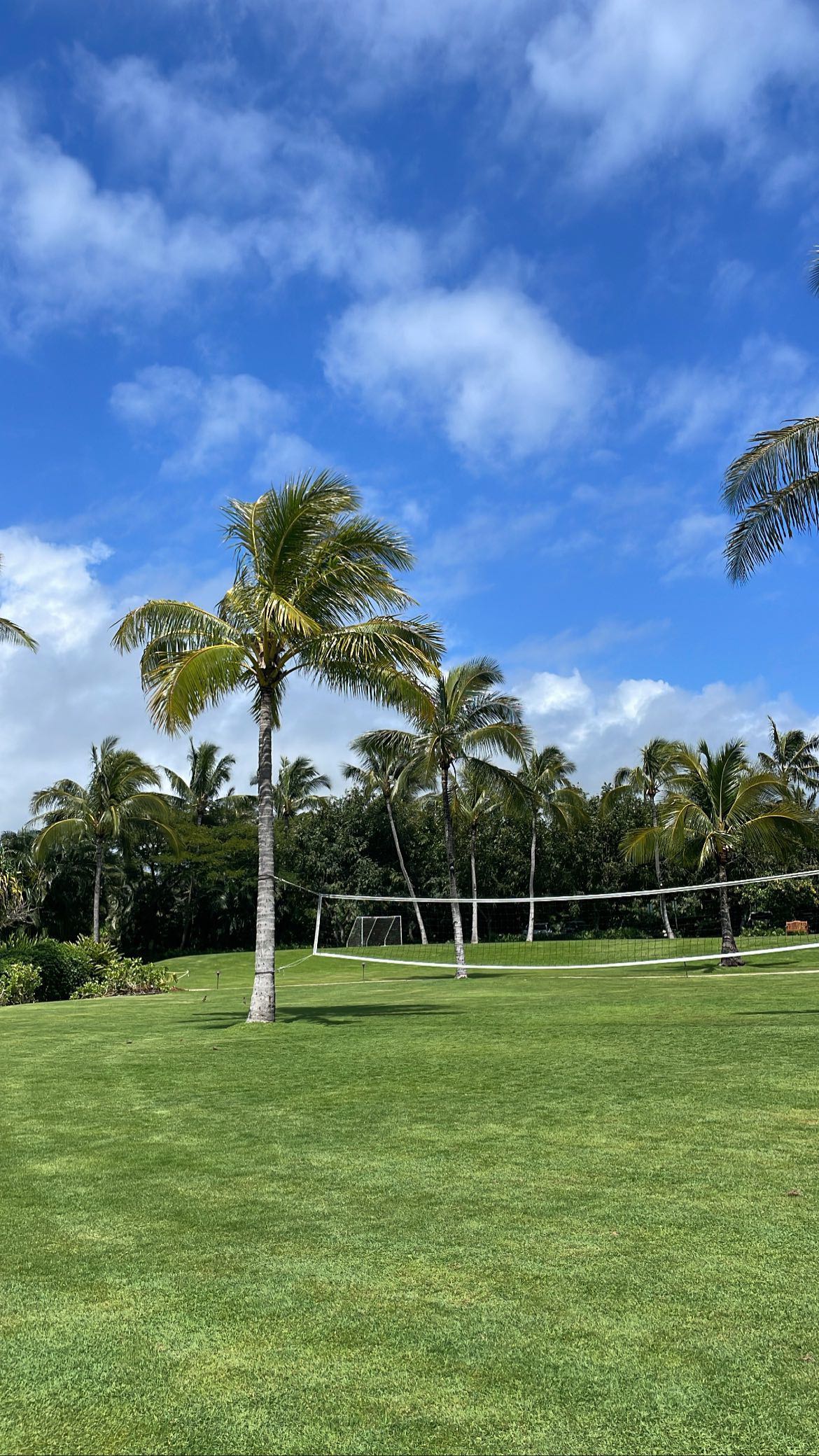 breesemaroc1 snapchat image archive image