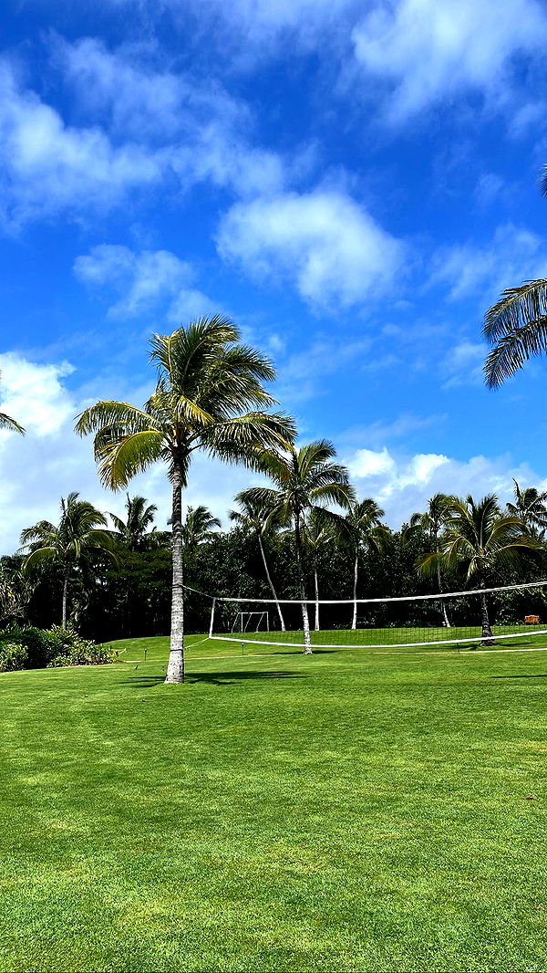 breesemaroc1 image ~ Altpins