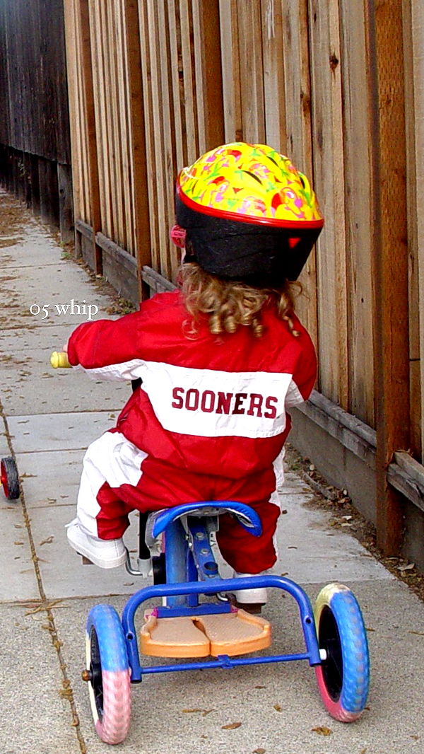 breesemaroc1 image ~ Altpins