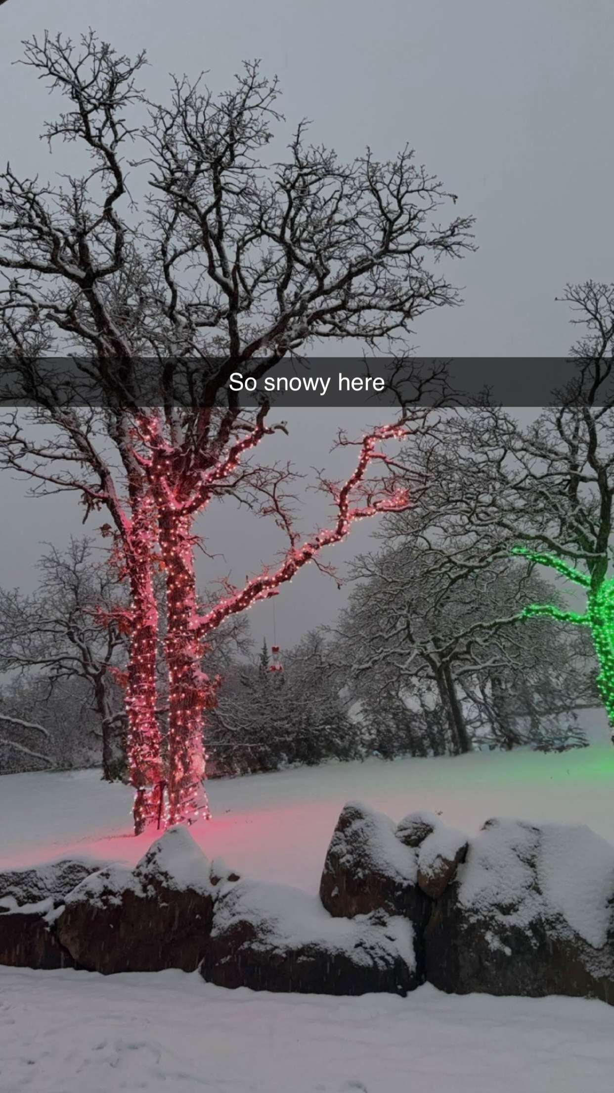 breesemaroc1 snapchat image archive image