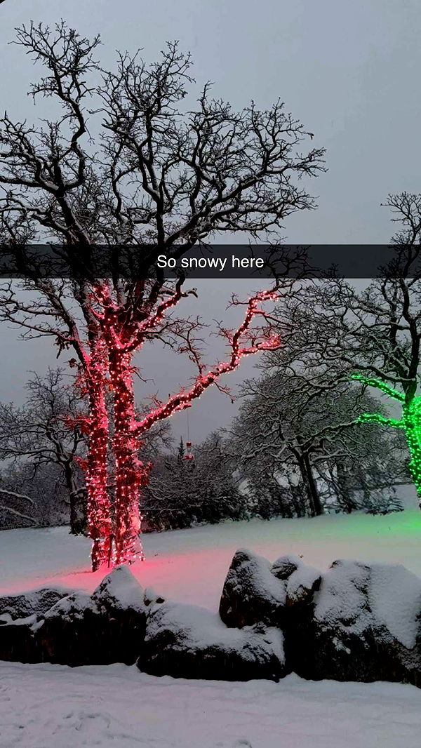 breesemaroc1 image ~ Altpins