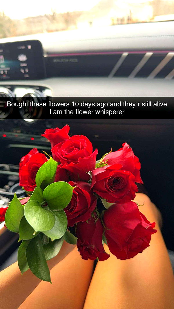 breesemaroc1 image ~ Altpins