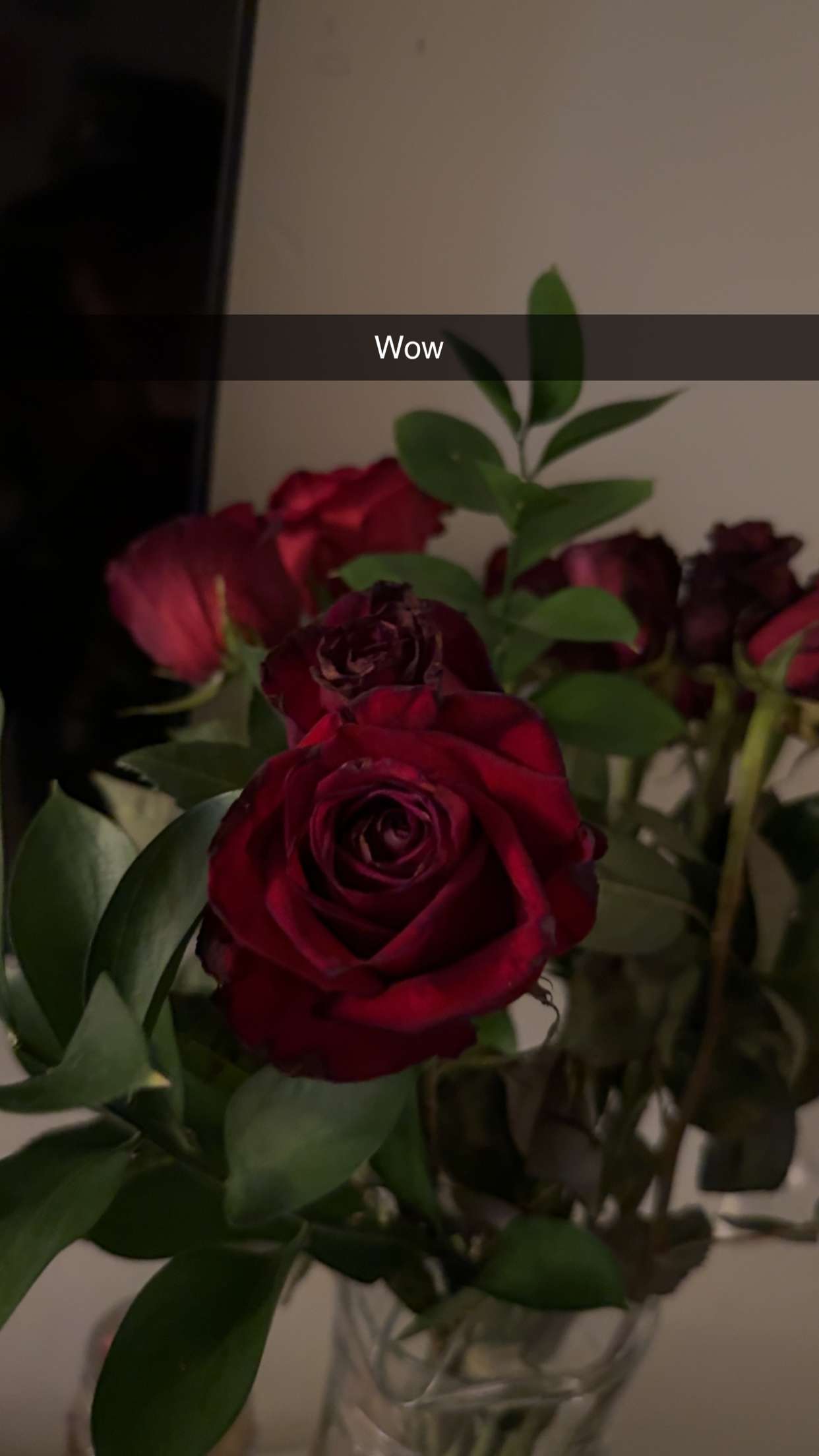 breesemaroc1 snapchat image archive image