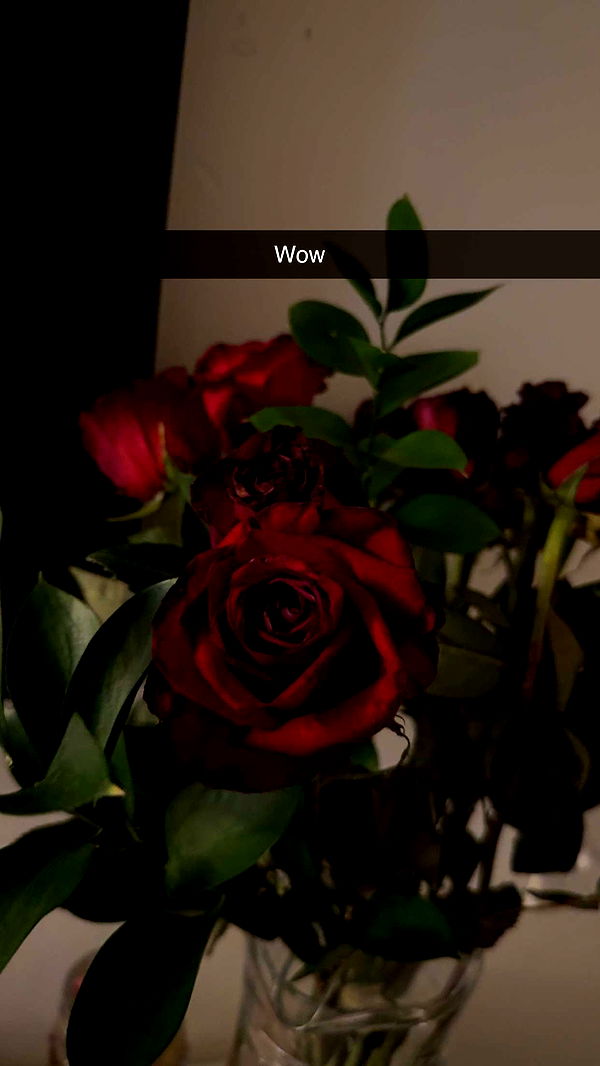 breesemaroc1 image ~ Altpins