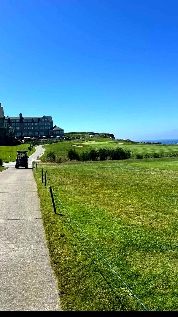 breesemaroc1 image ~ Altpins